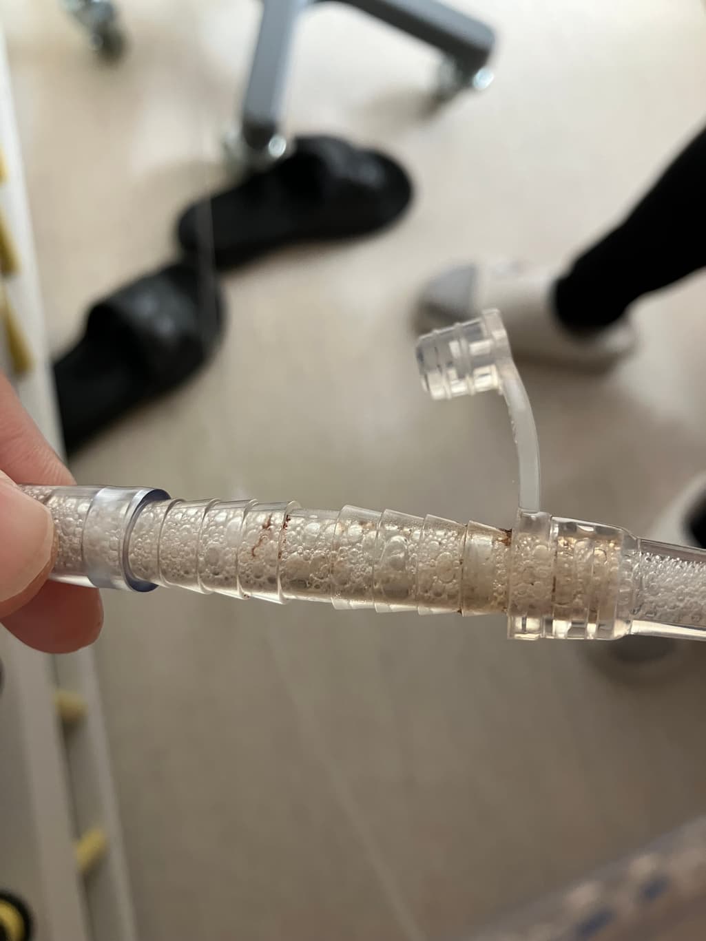 2번 째 사진