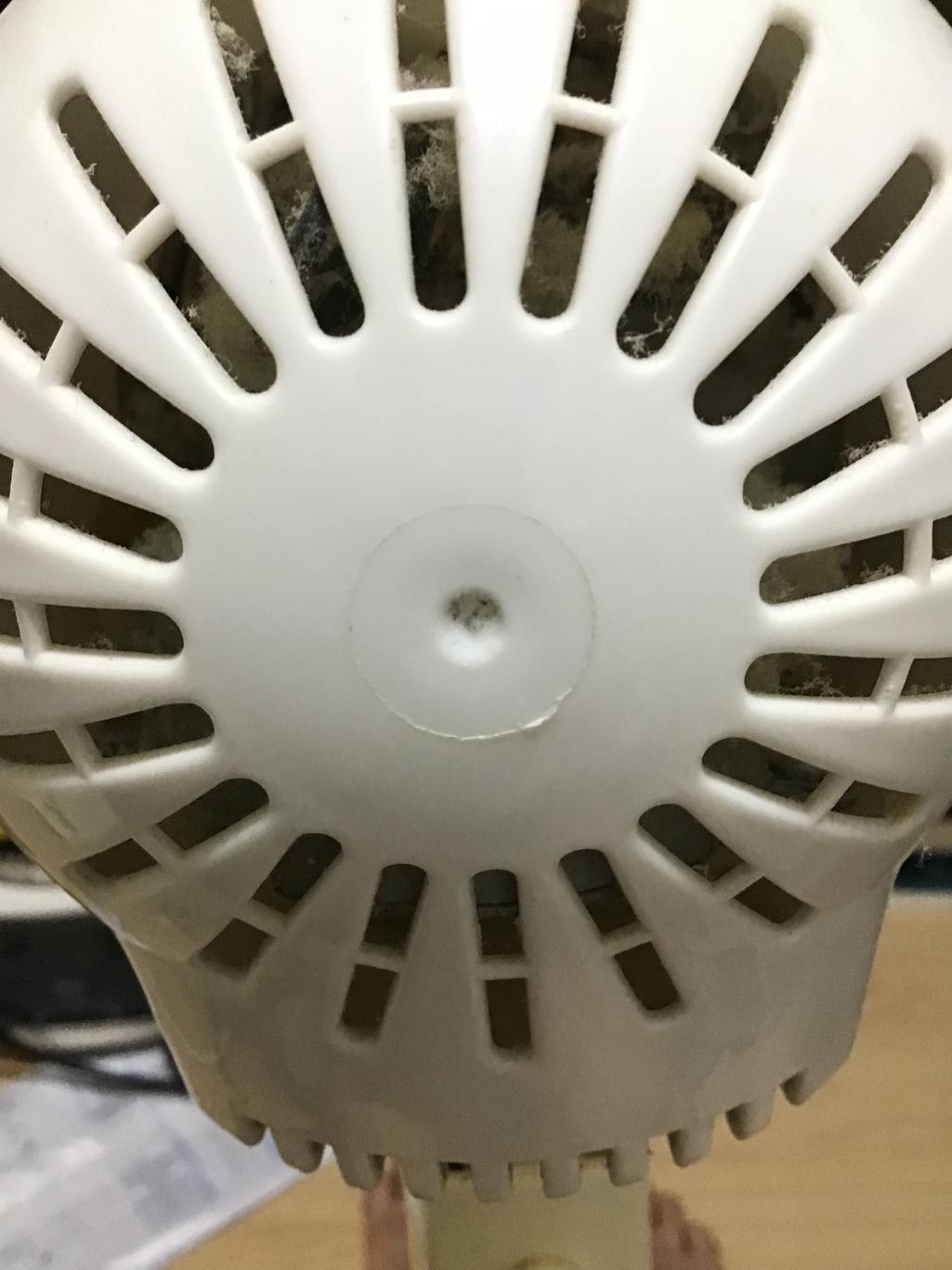 2번 째 사진