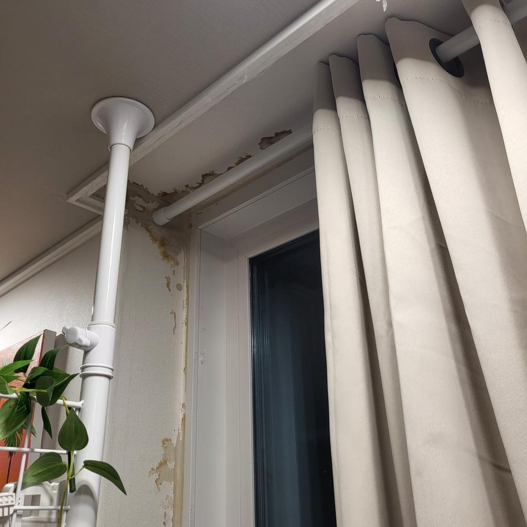 7번 째 사진