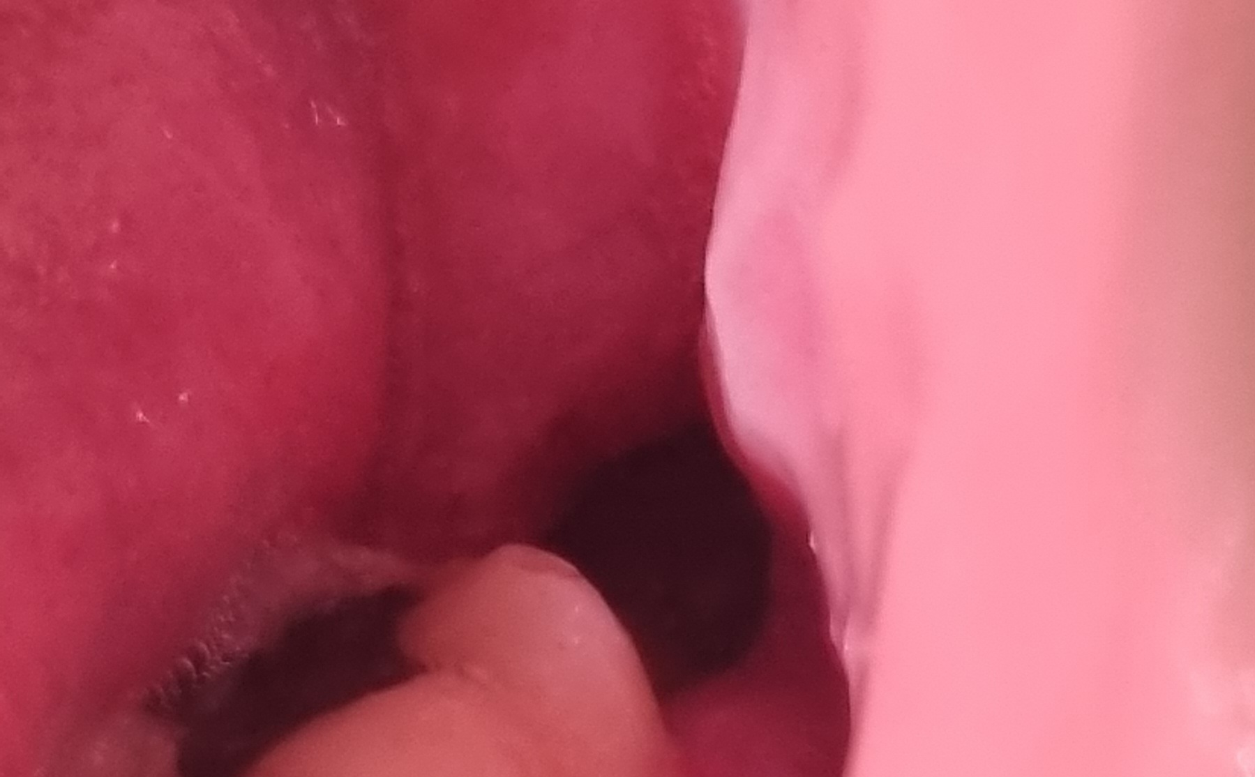 3번 째 사진