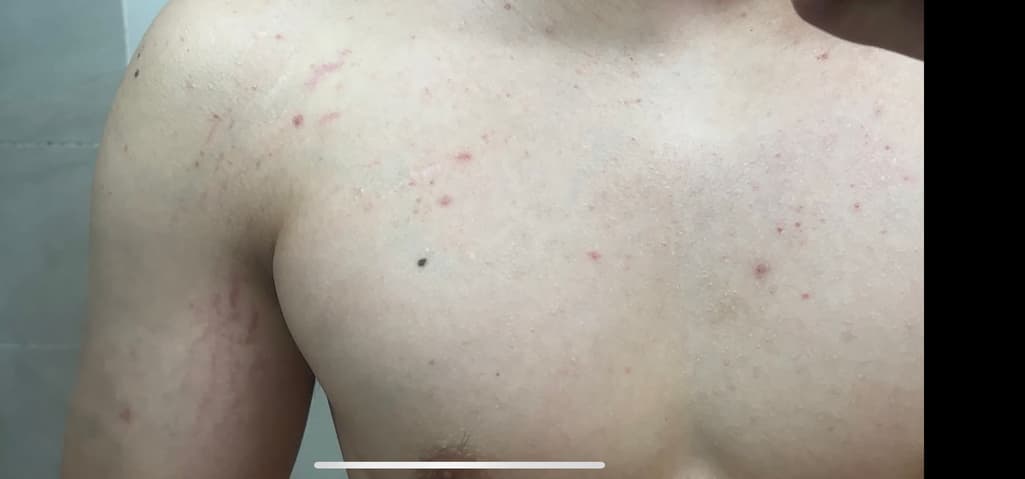 3번 째 사진