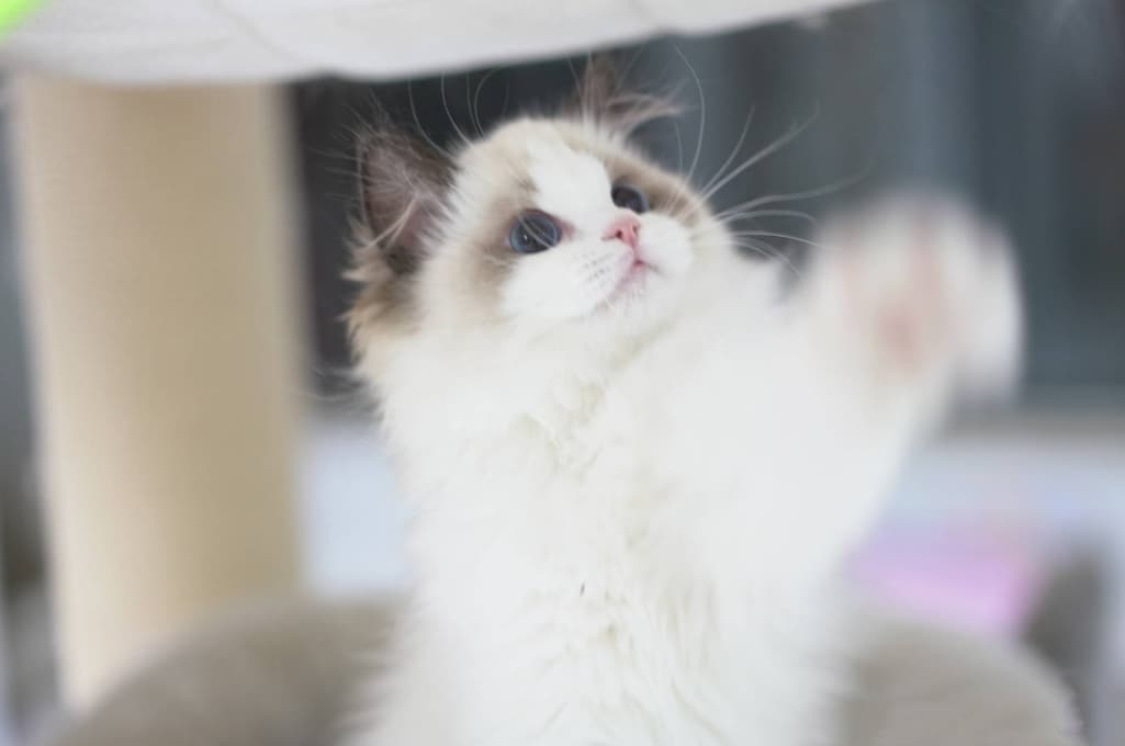 8번 째 사진