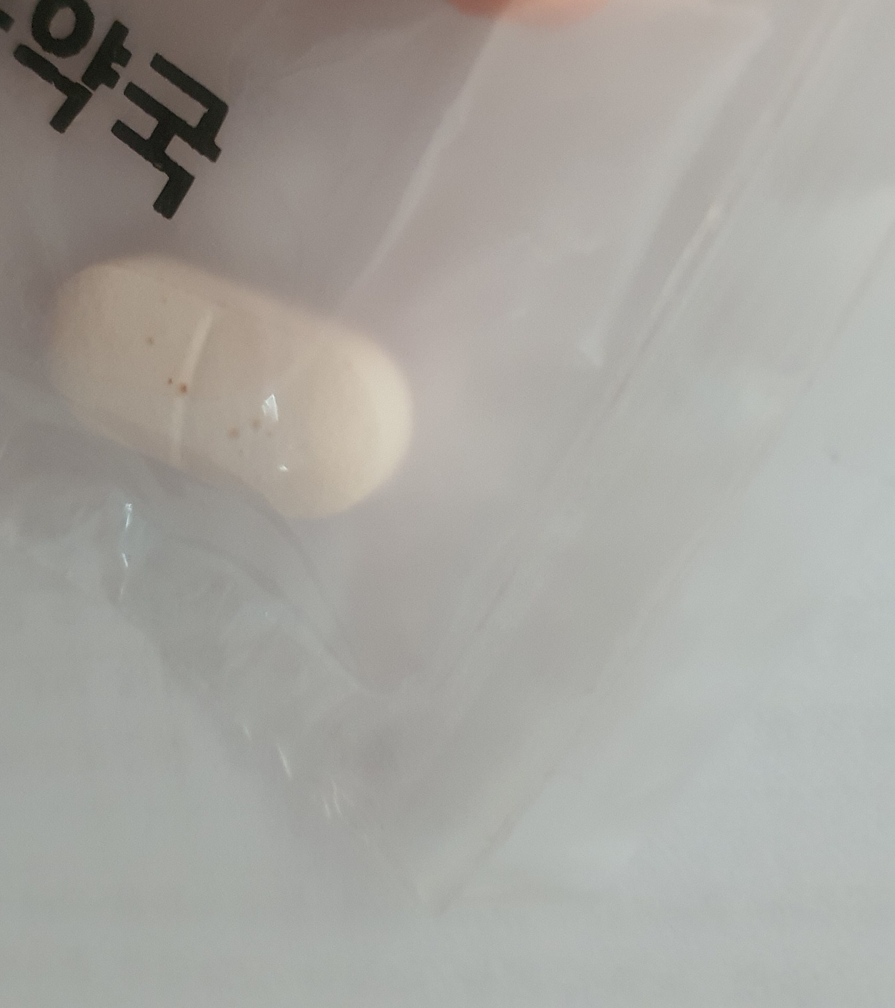 2번 째 사진