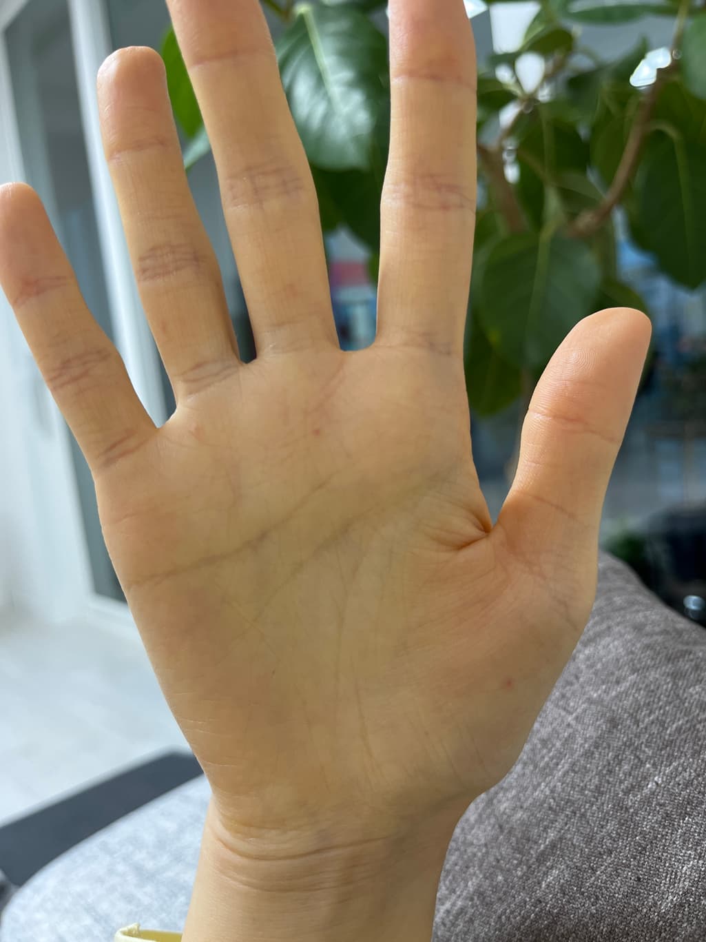 4번 째 사진