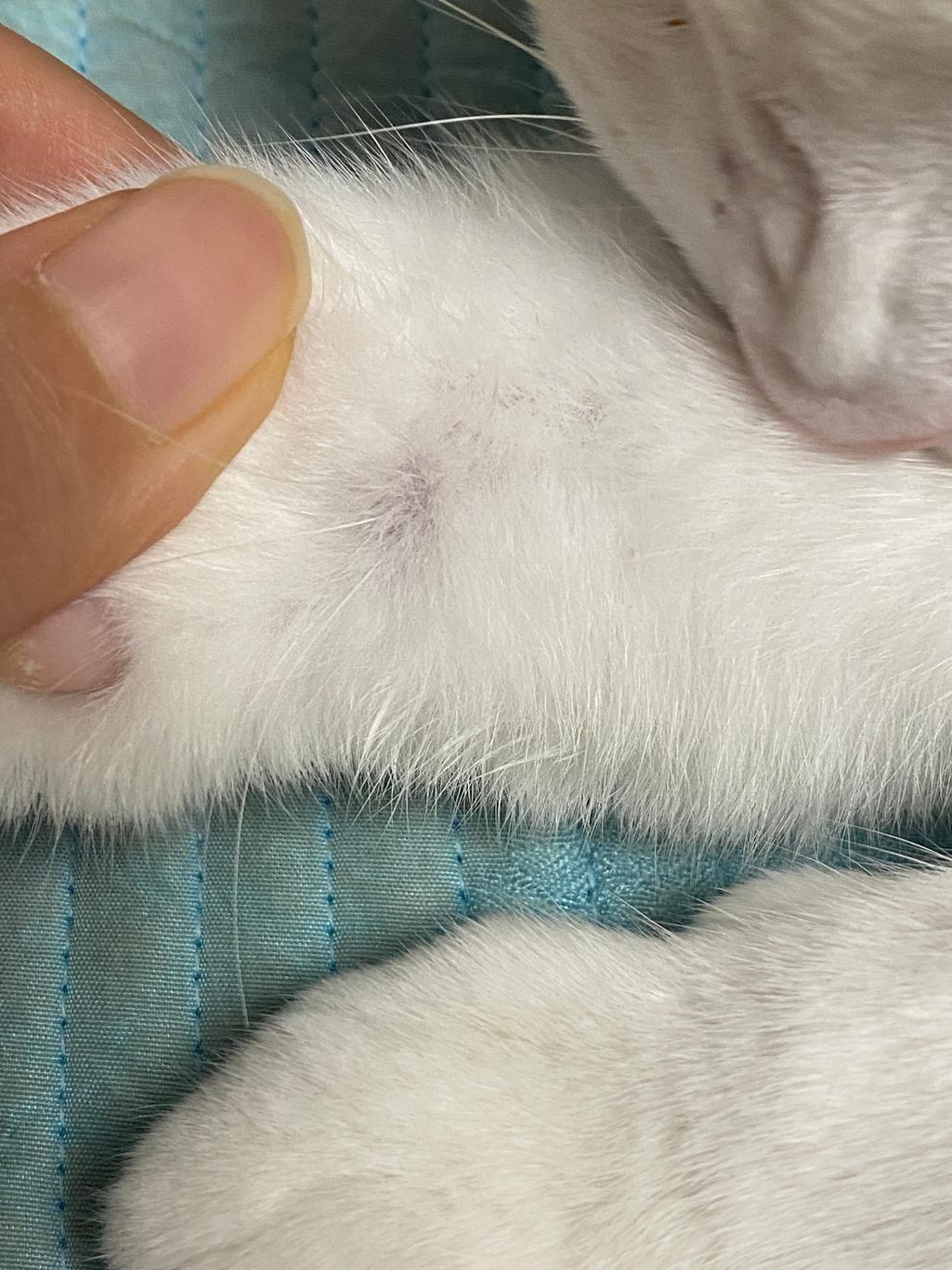 5번 째 사진