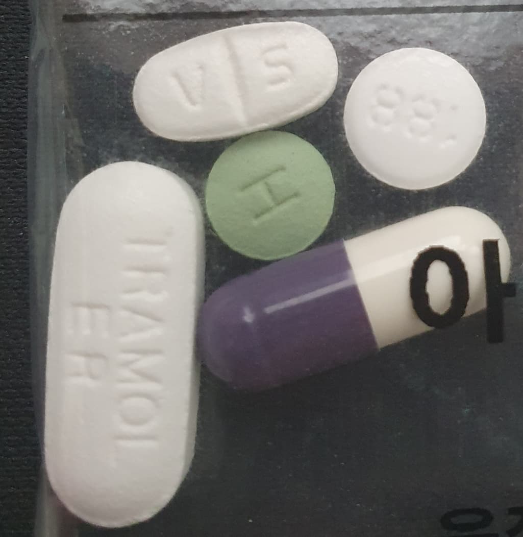 3번 째 사진