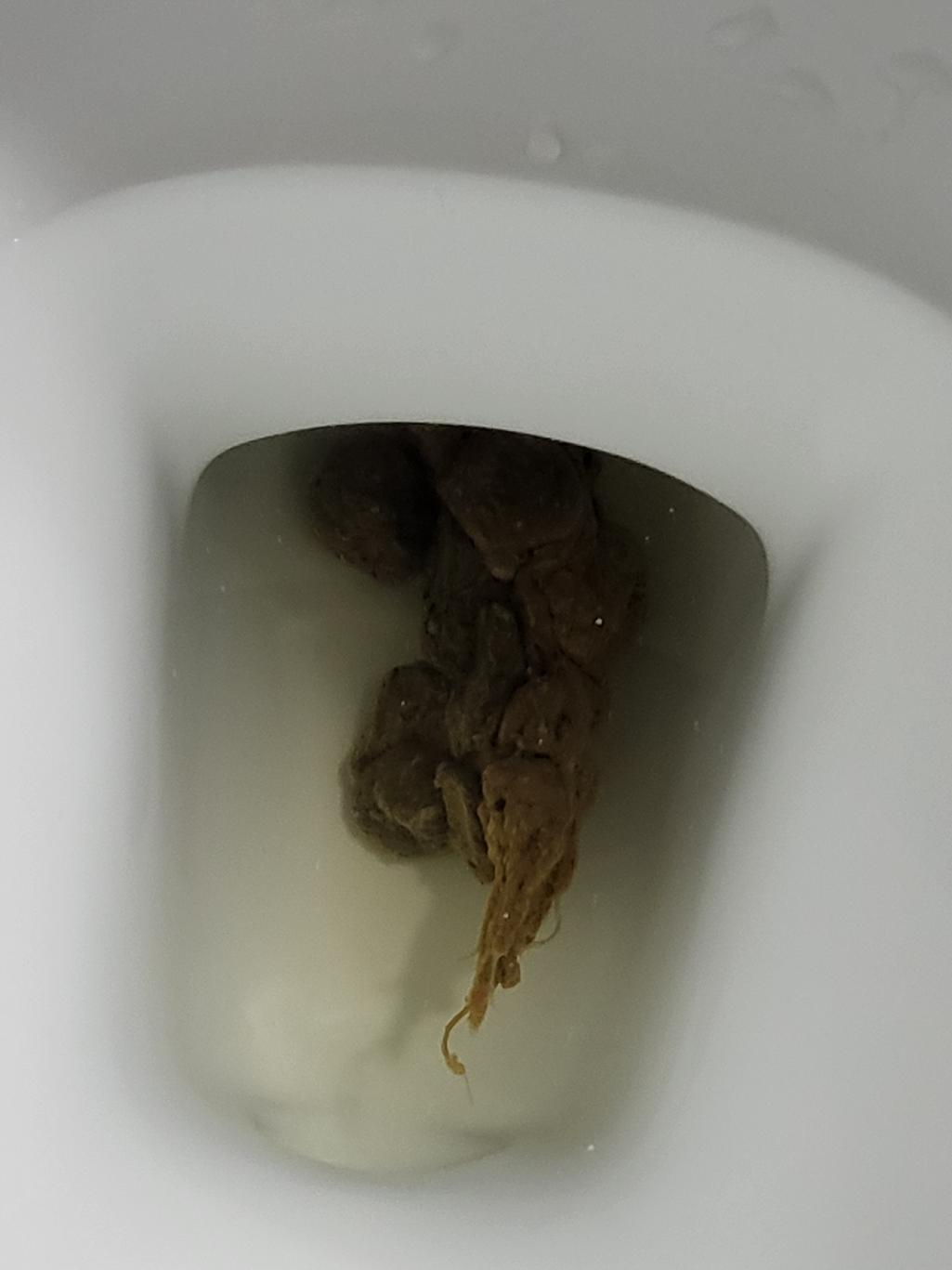 2번 째 사진