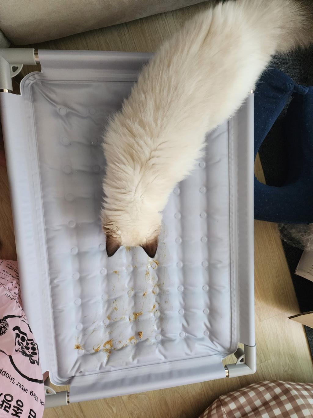 2번 째 사진