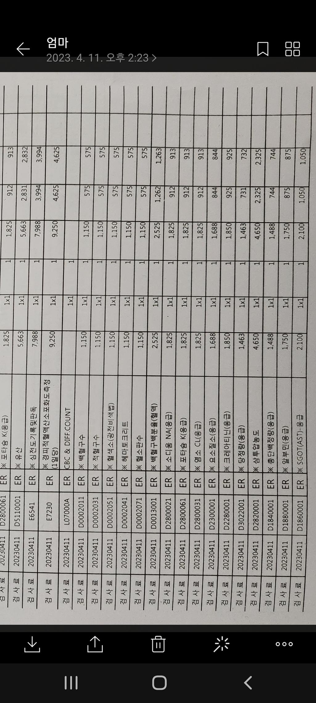 1번 째 사진