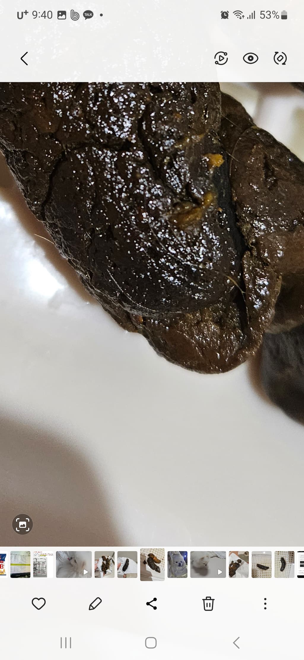 7번 째 사진