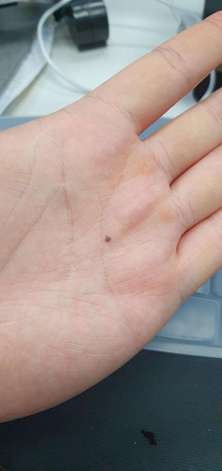 3번 째 사진