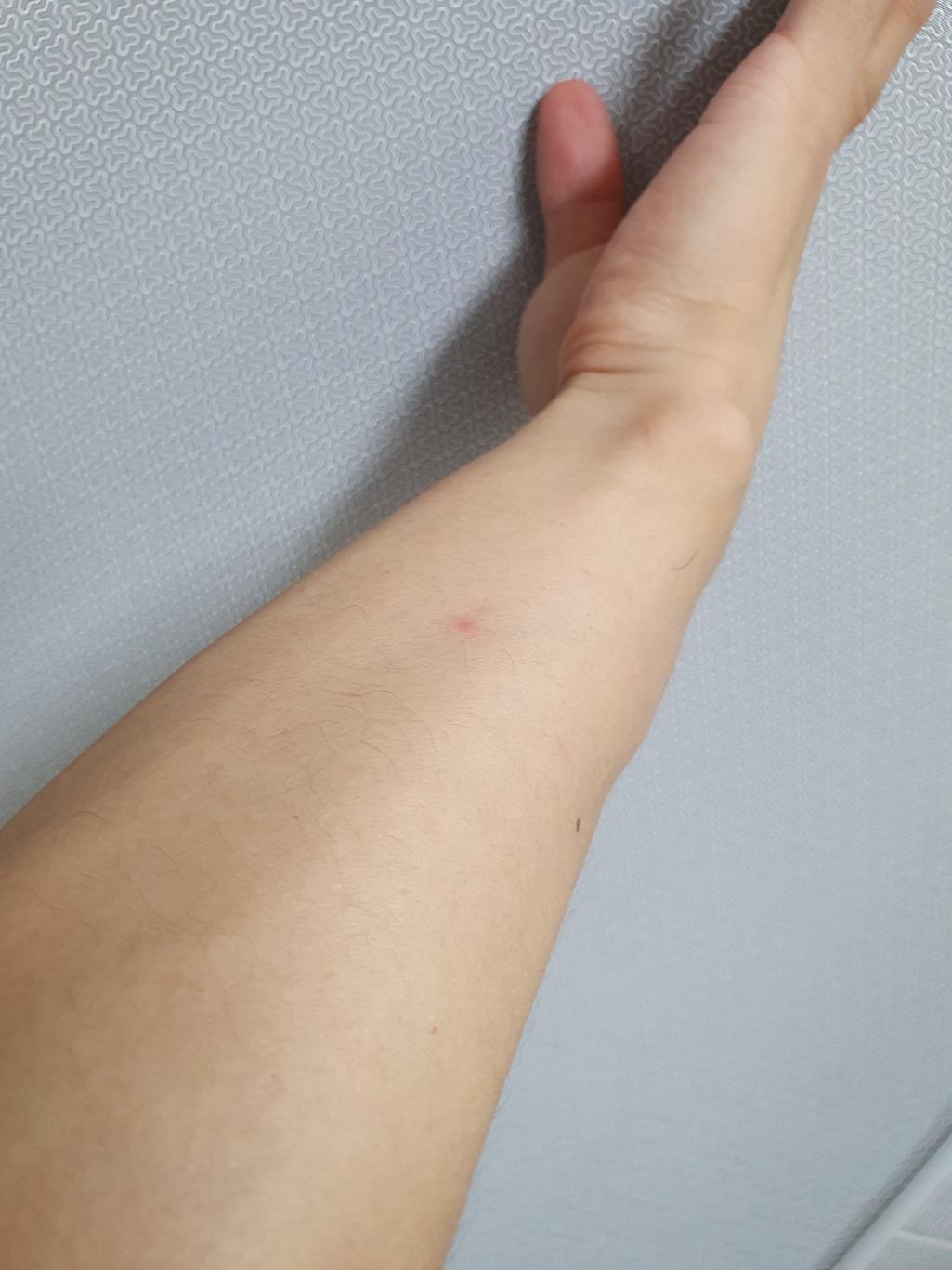 2번 째 사진