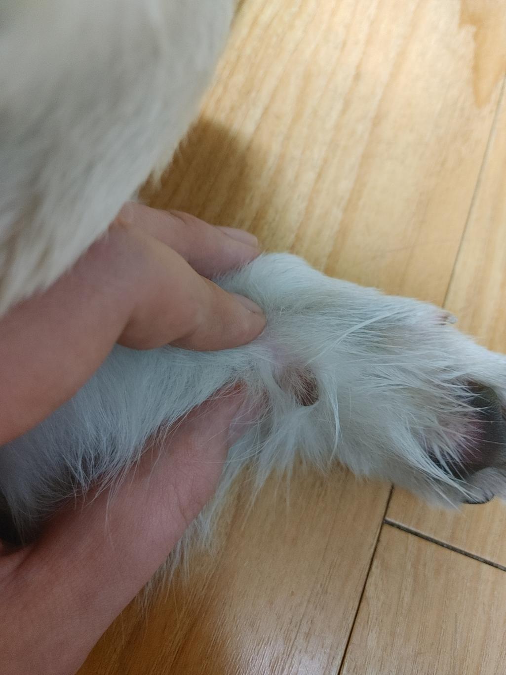 3번 째 사진