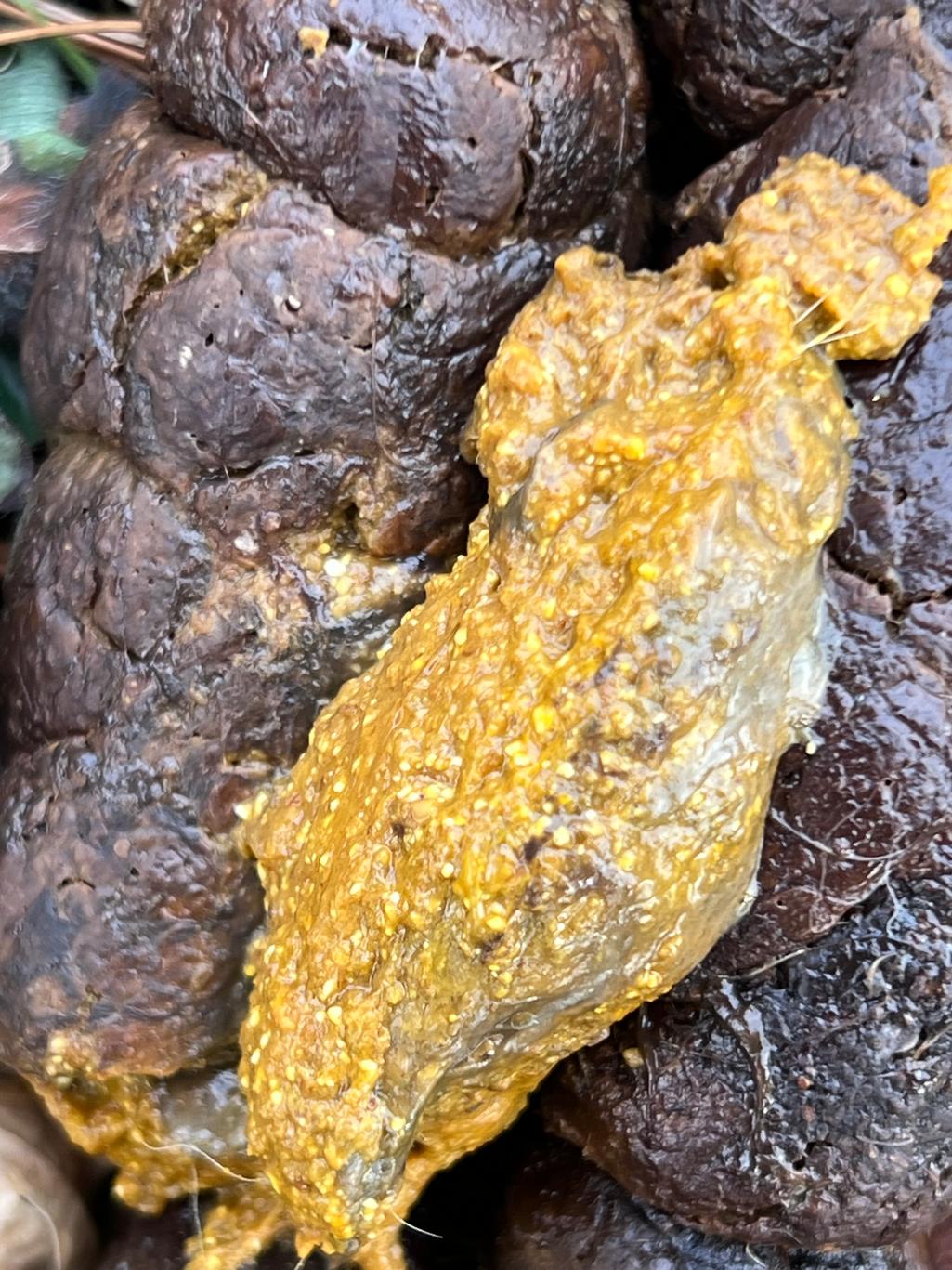 3번 째 사진