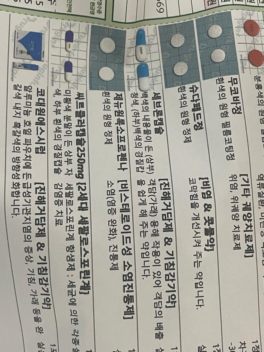 1번 째 사진