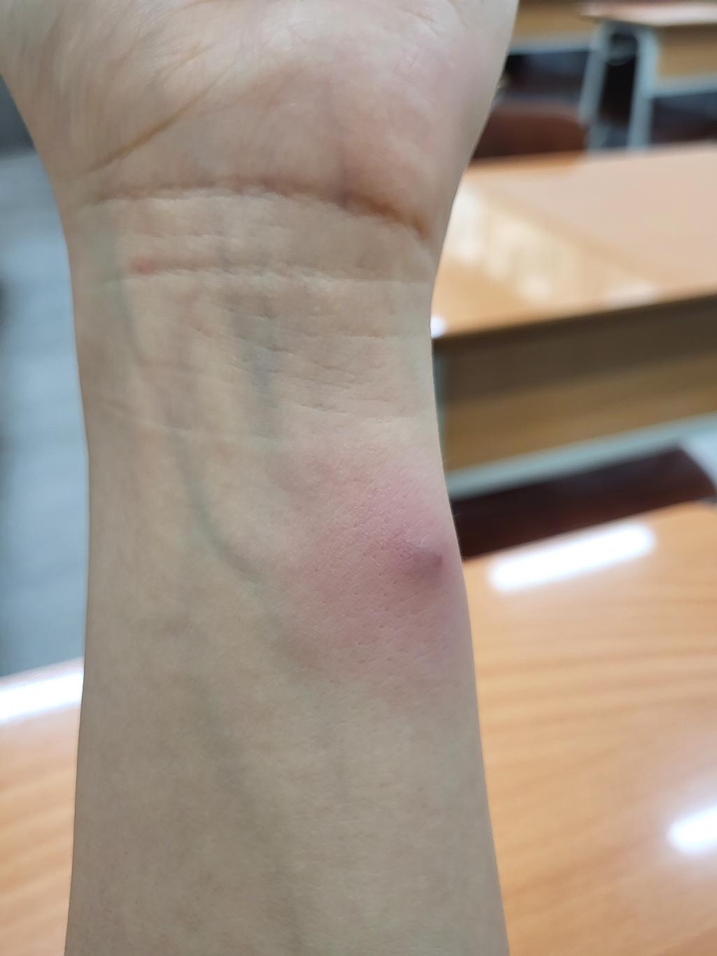 1번 째 사진