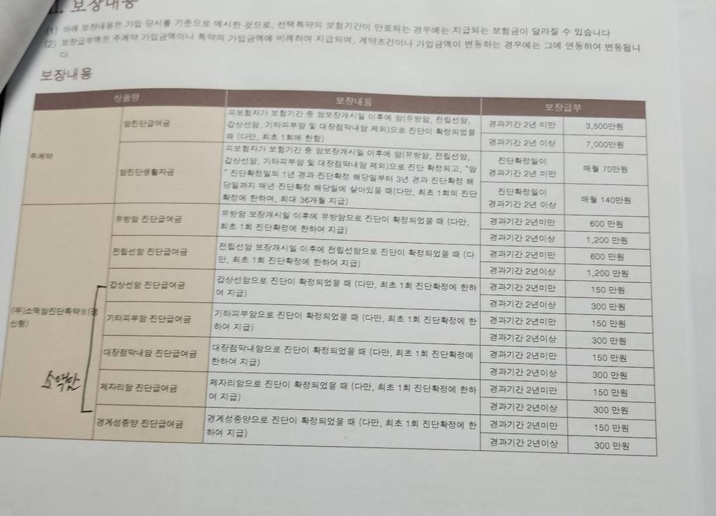 7번 째 사진