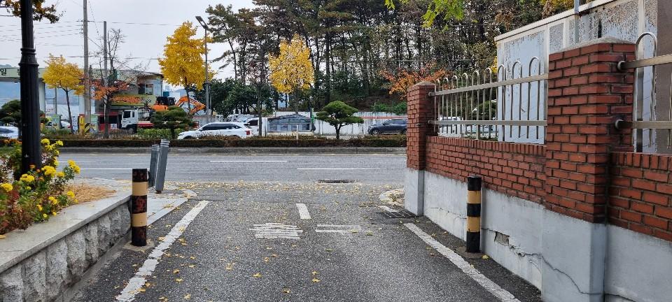 8번 째 사진
