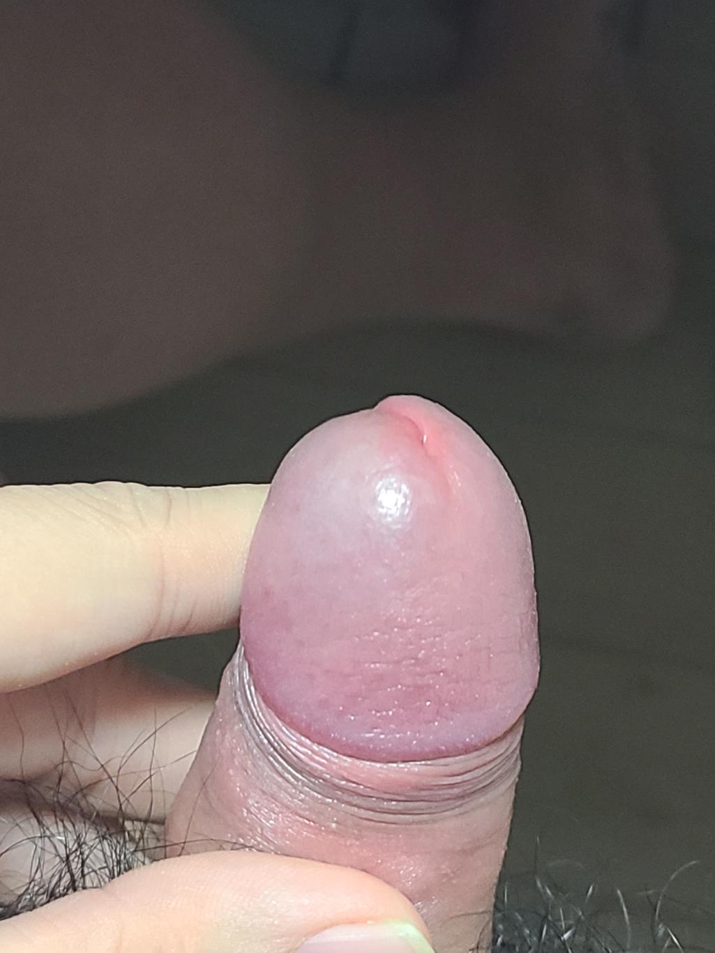 2번 째 사진