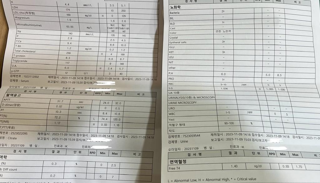 2번 째 사진
