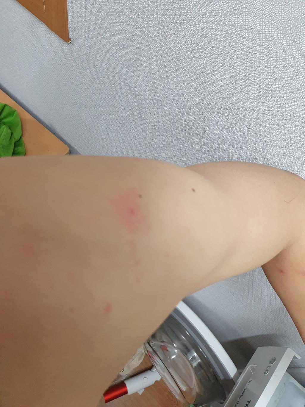3번 째 사진
