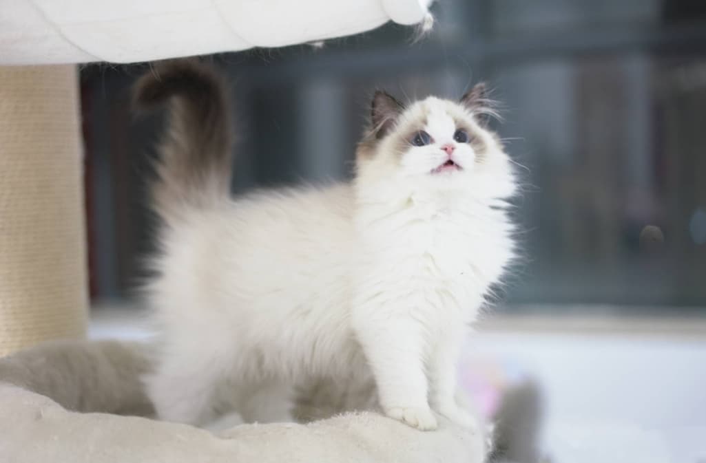 6번 째 사진