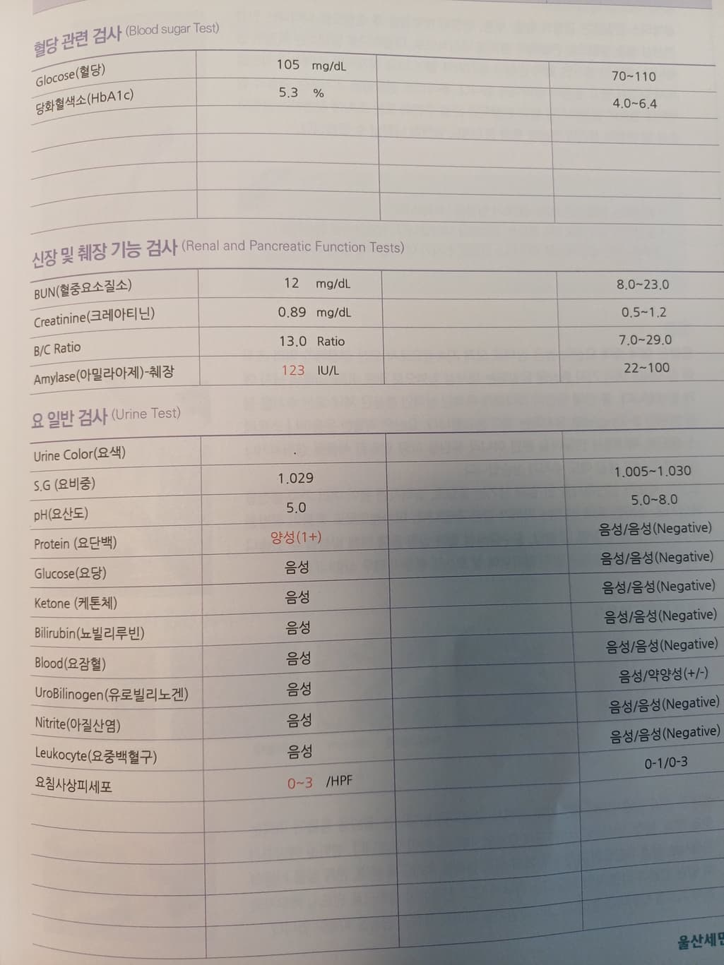 5번 째 사진