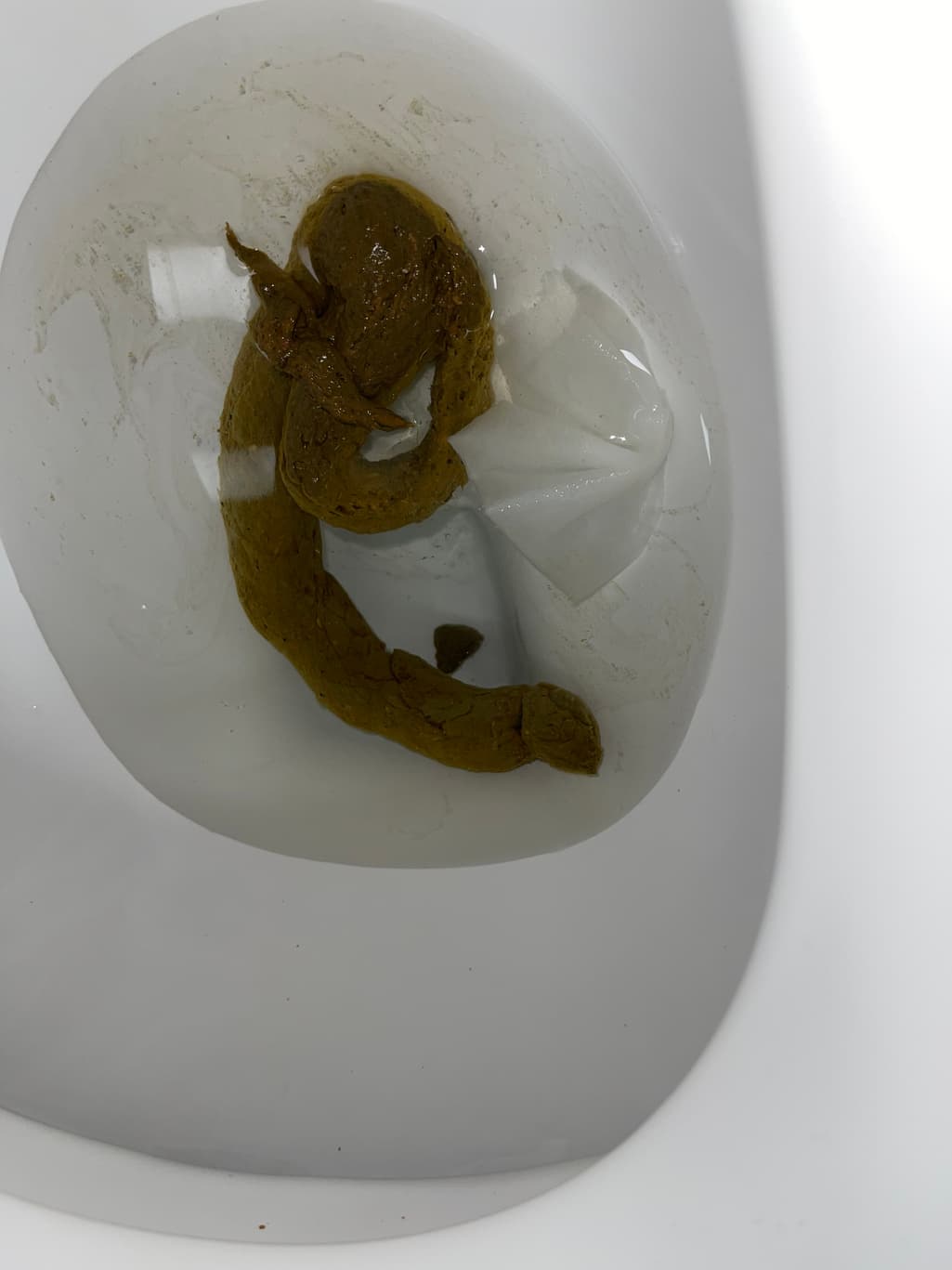 2번 째 사진