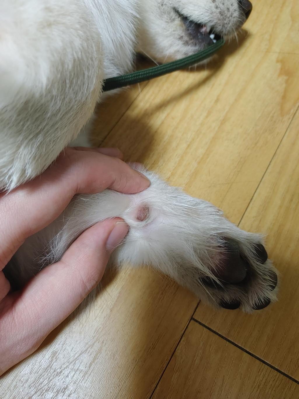 2번 째 사진