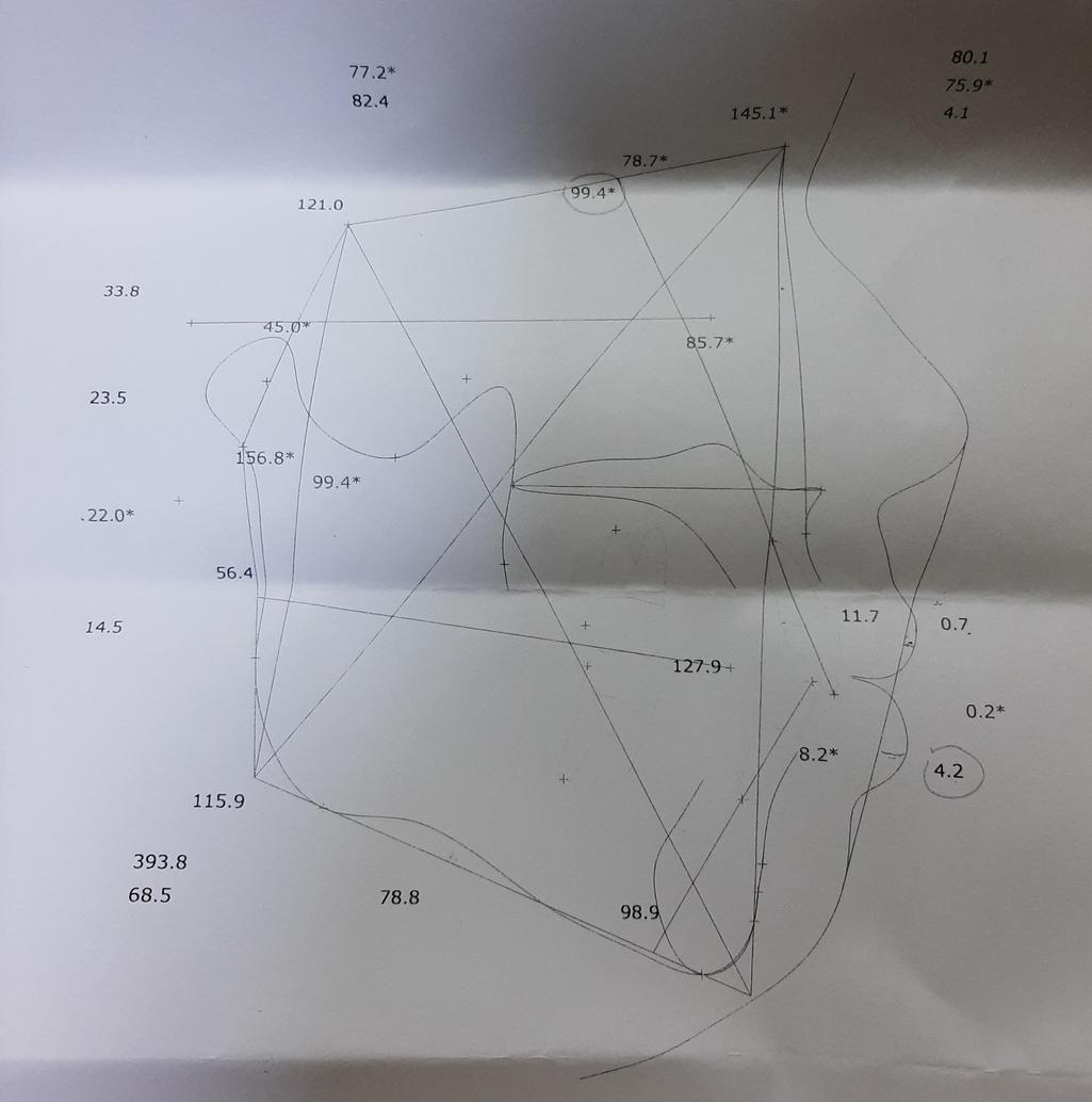 6번 째 사진