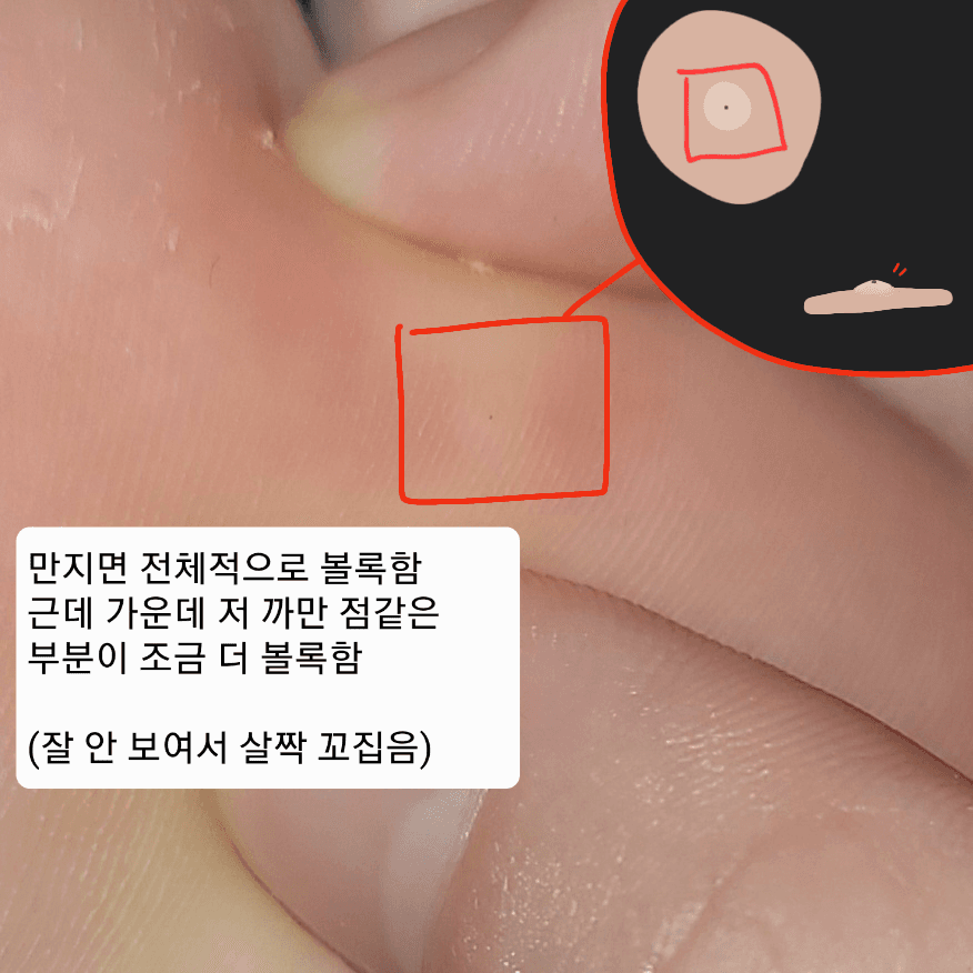 3번 째 사진