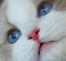 2번 째 사진