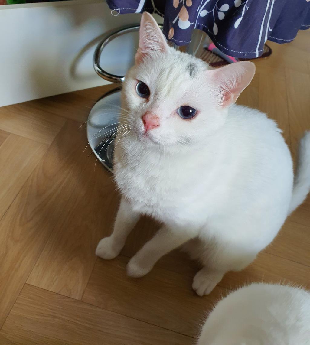 1번 째 사진