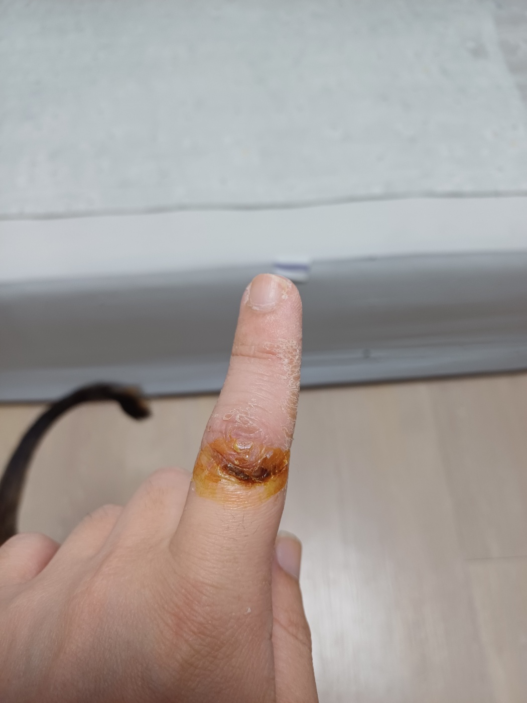 3번 째 사진