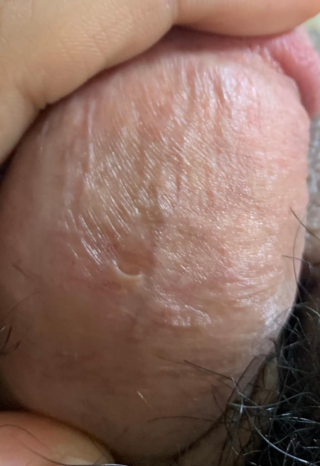 4번 째 사진