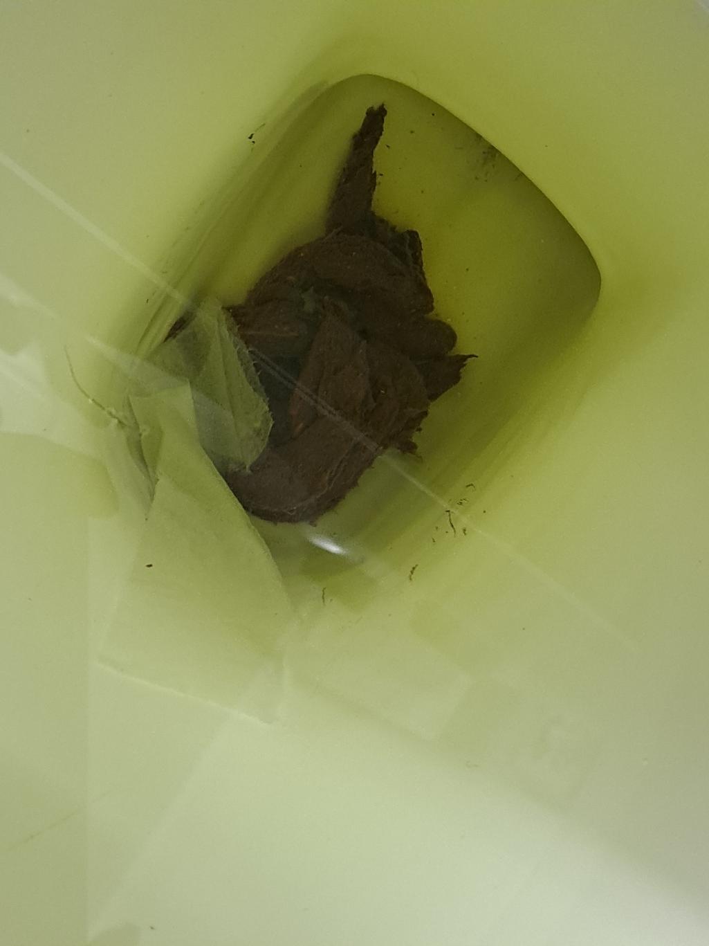 3번 째 사진