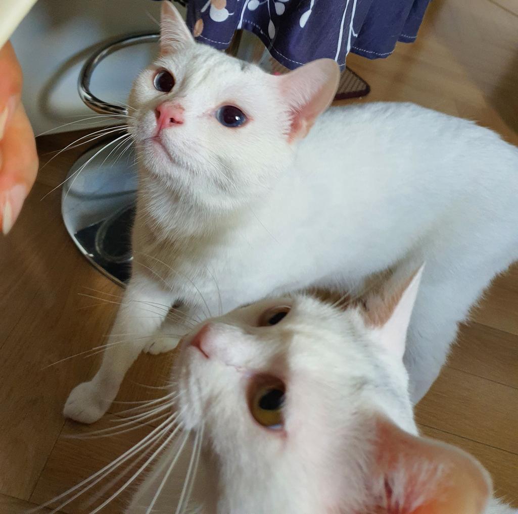 2번 째 사진