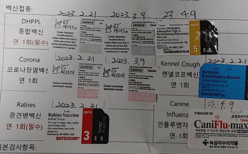 1번 째 사진