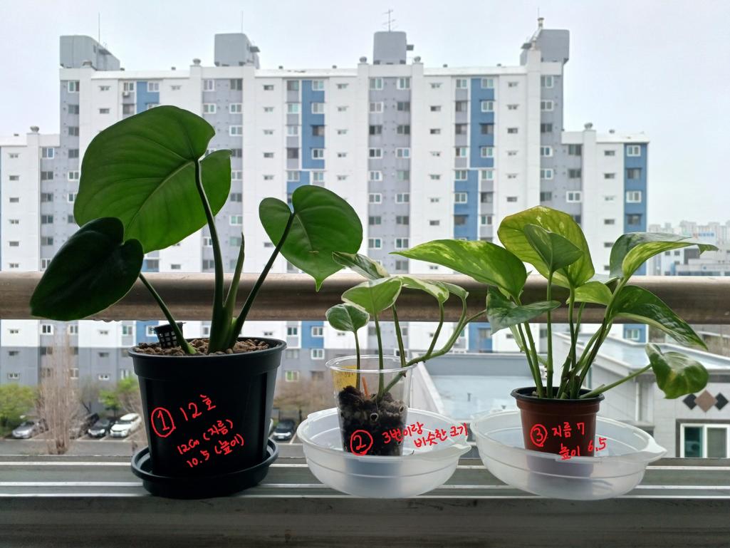 3번 째 사진