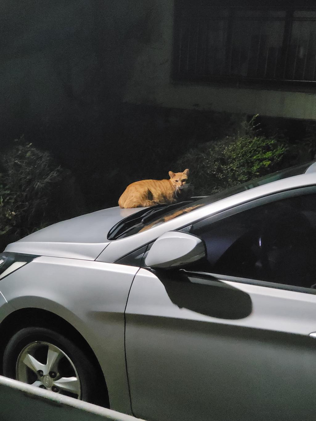 3번 째 사진