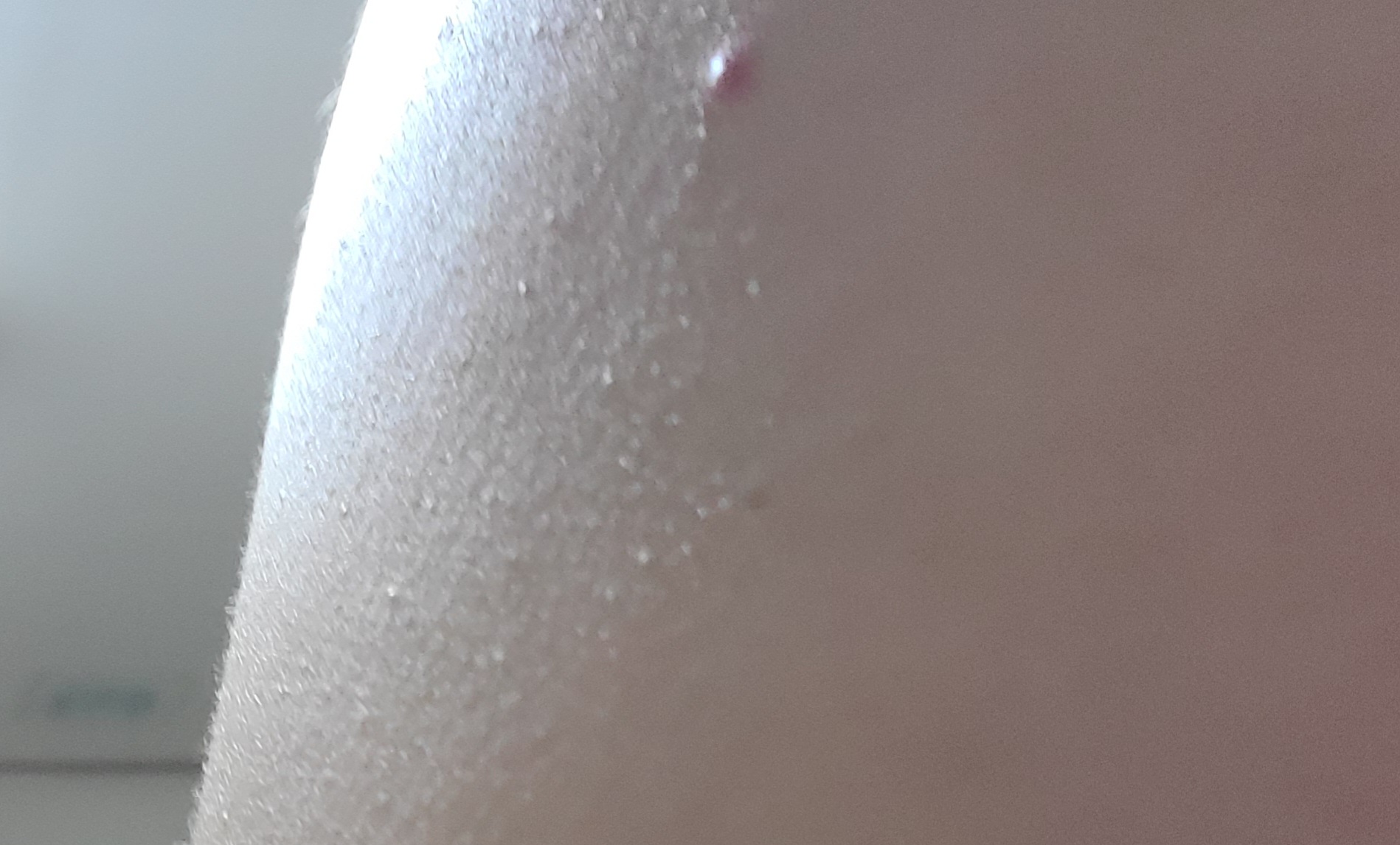 2번 째 사진