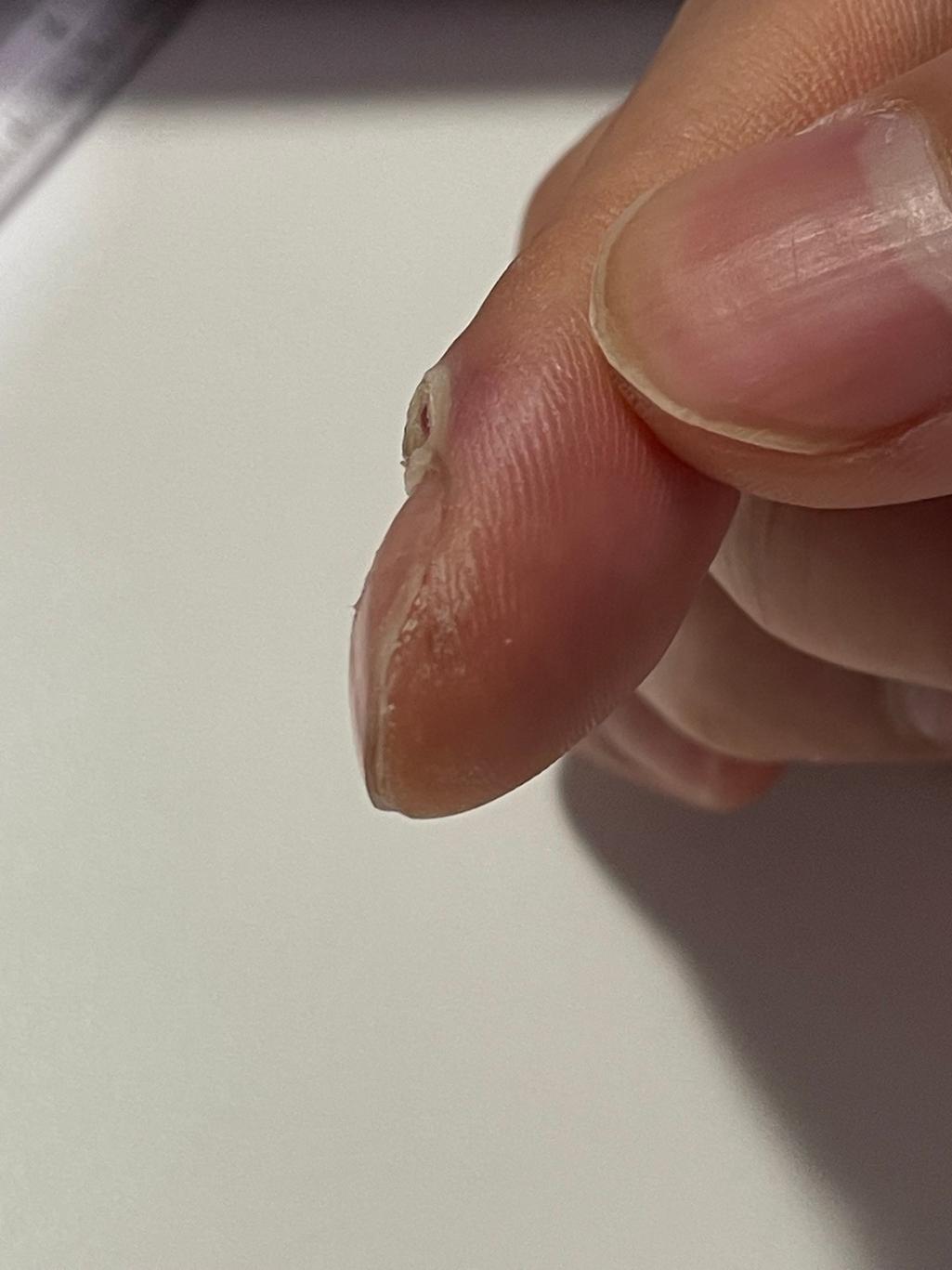 6번 째 사진