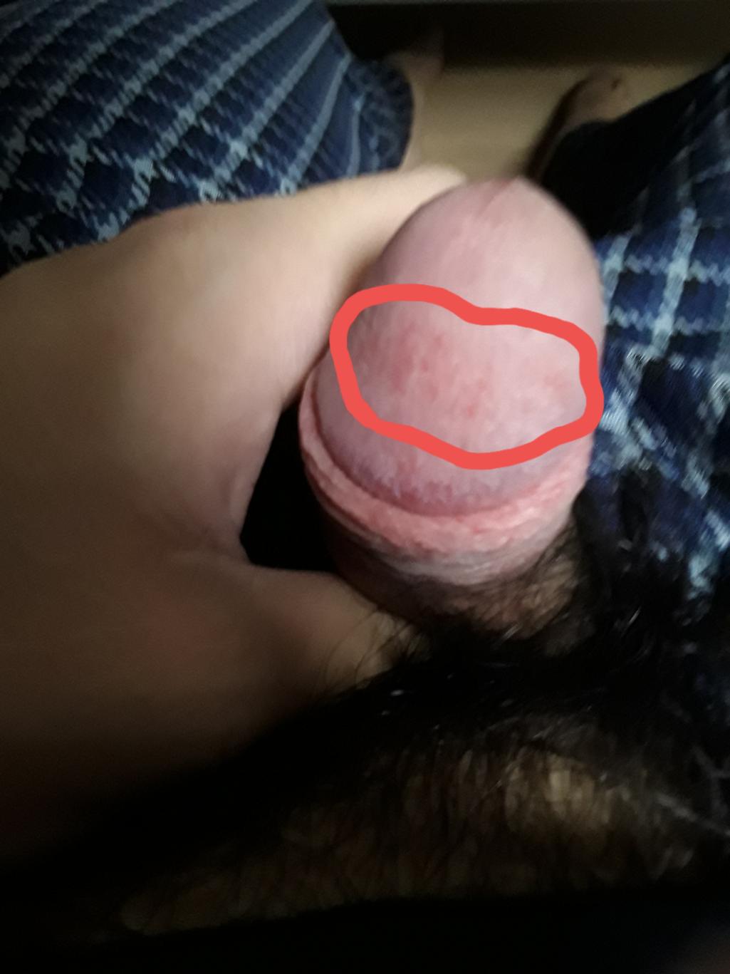 4번 째 사진