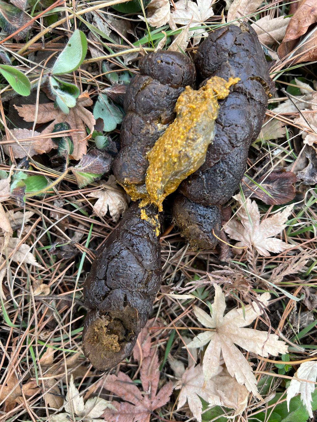 2번 째 사진