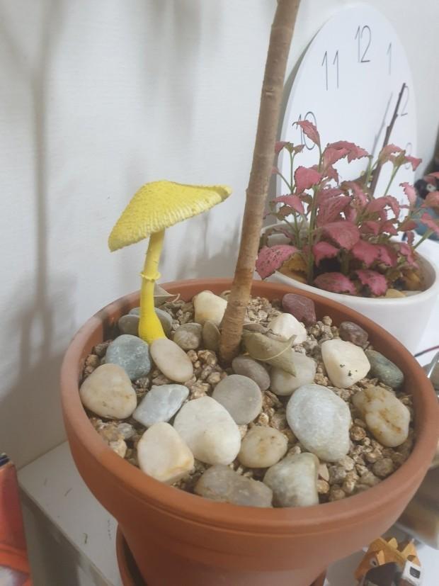 1번 째 사진
