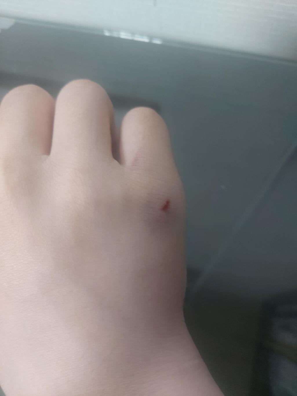 1번 째 사진