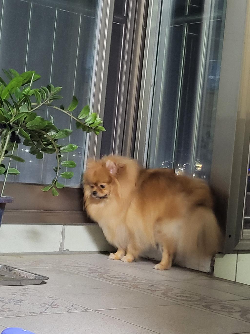 1번 째 사진
