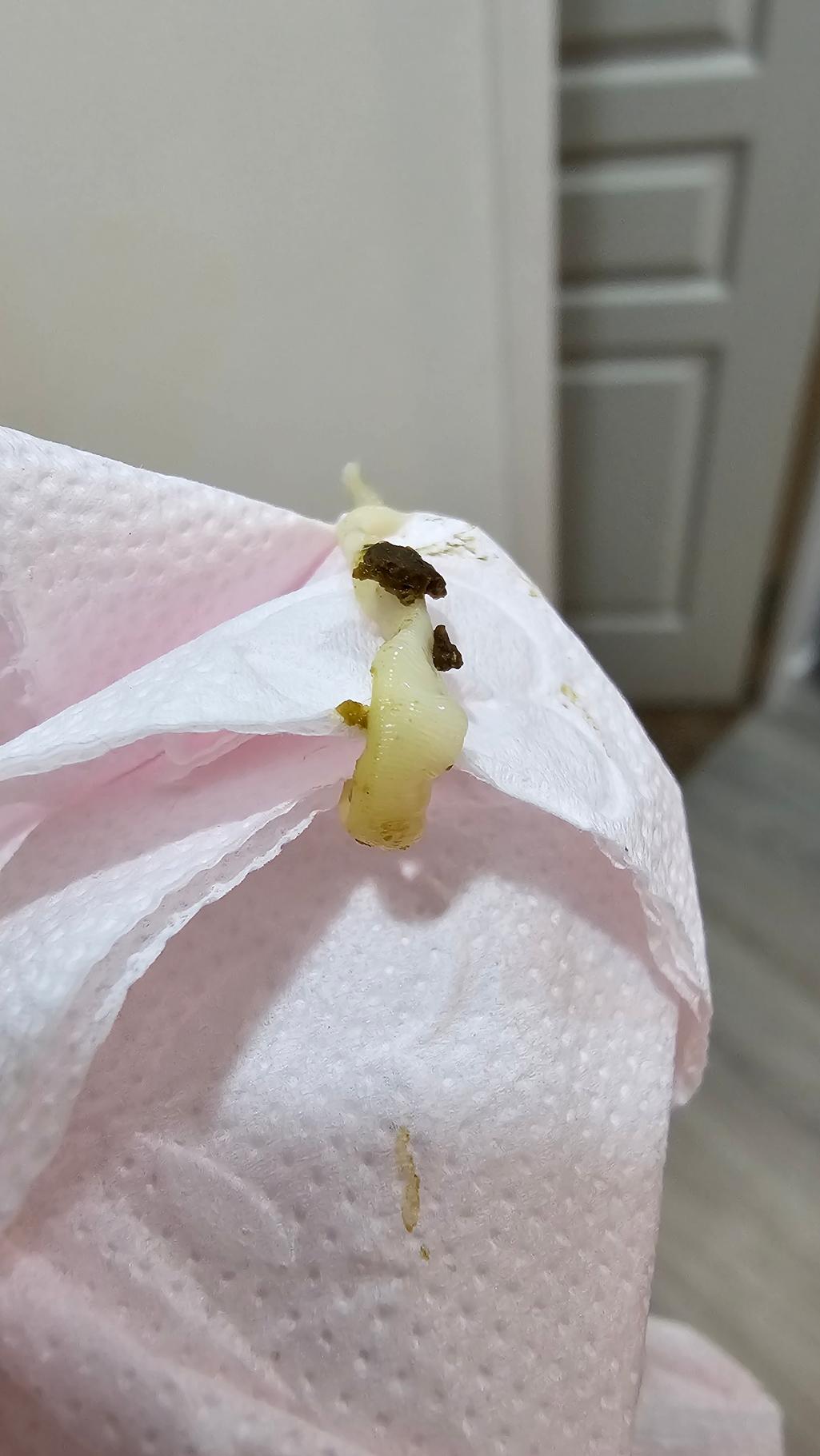 2번 째 사진
