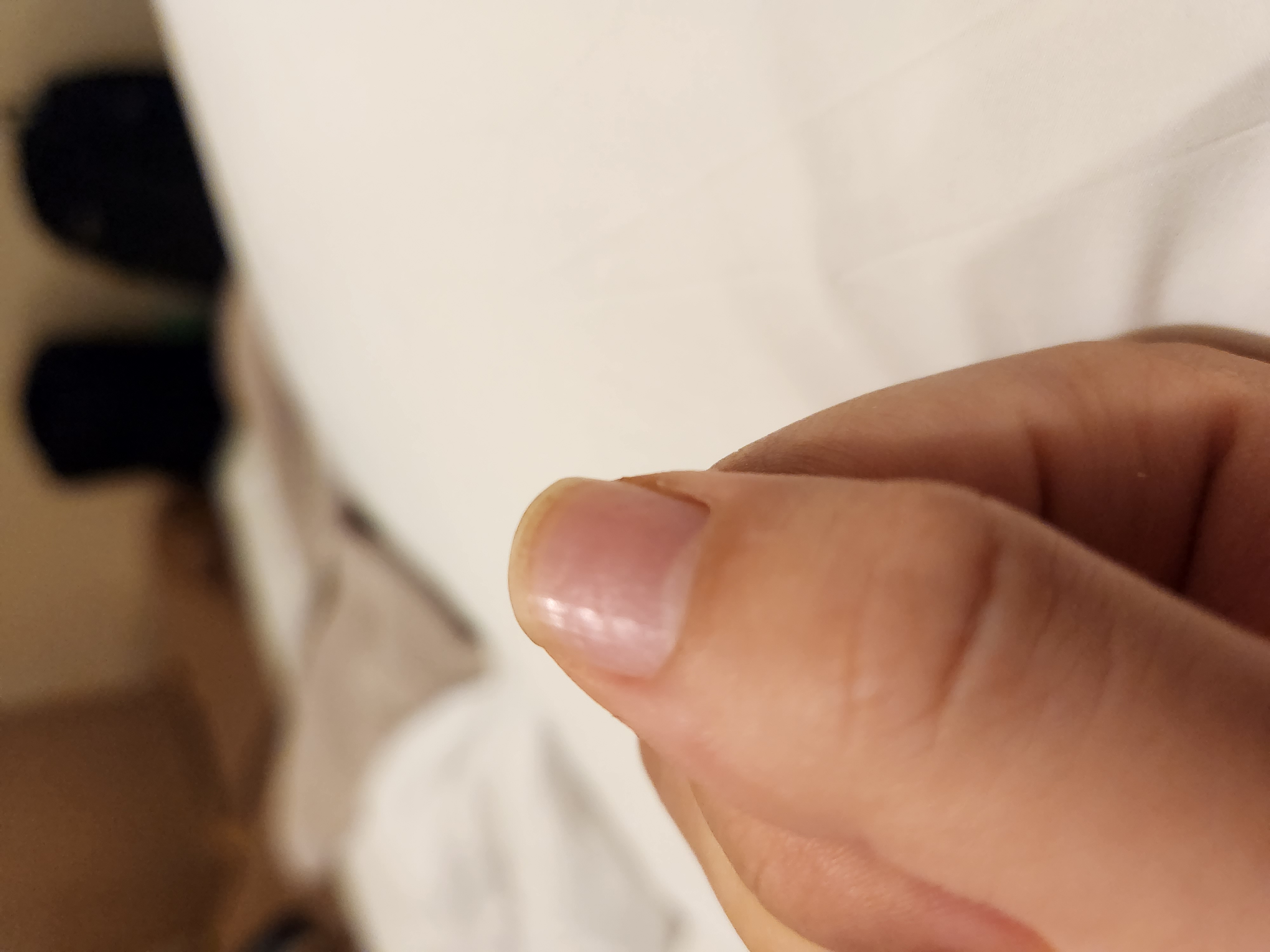 3번 째 사진