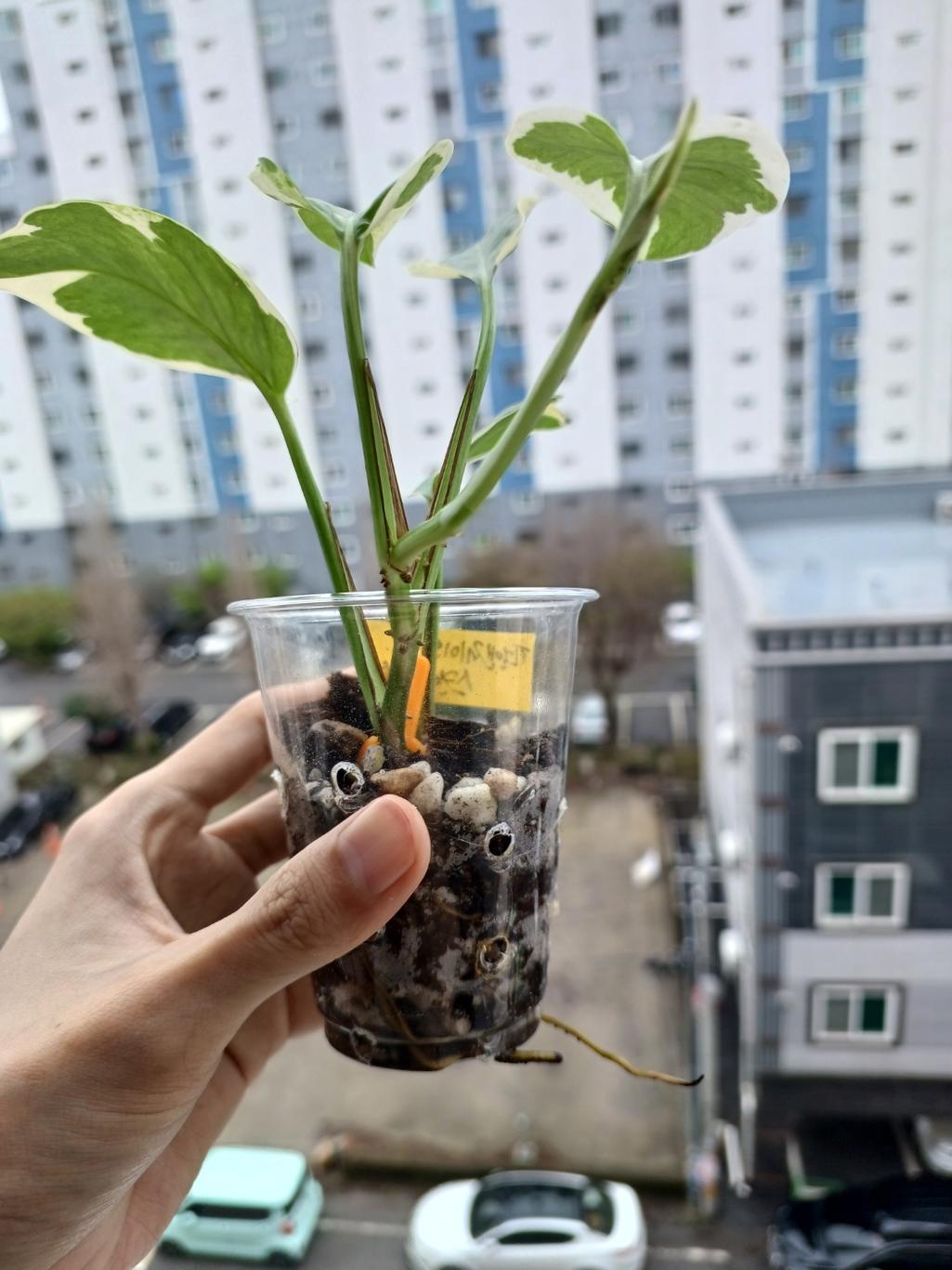 2번 째 사진